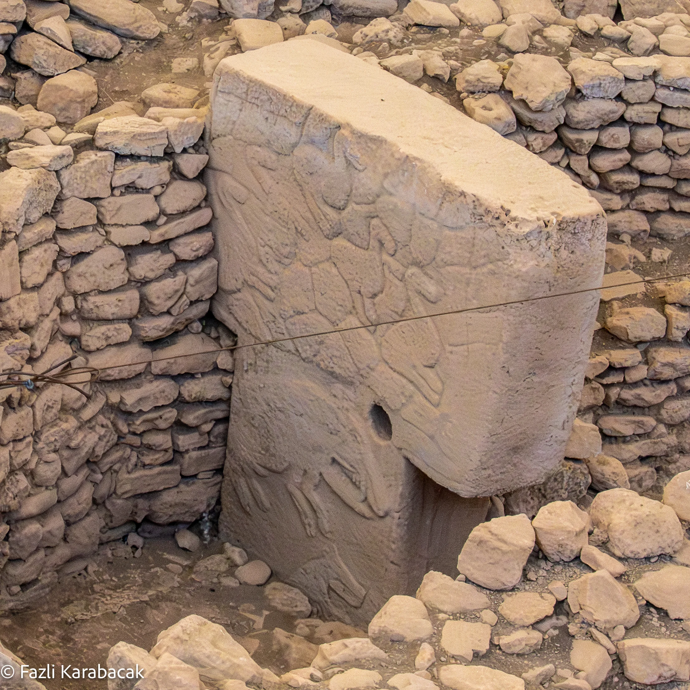 Cranes and birds relief carving at Göbekli Tepe
