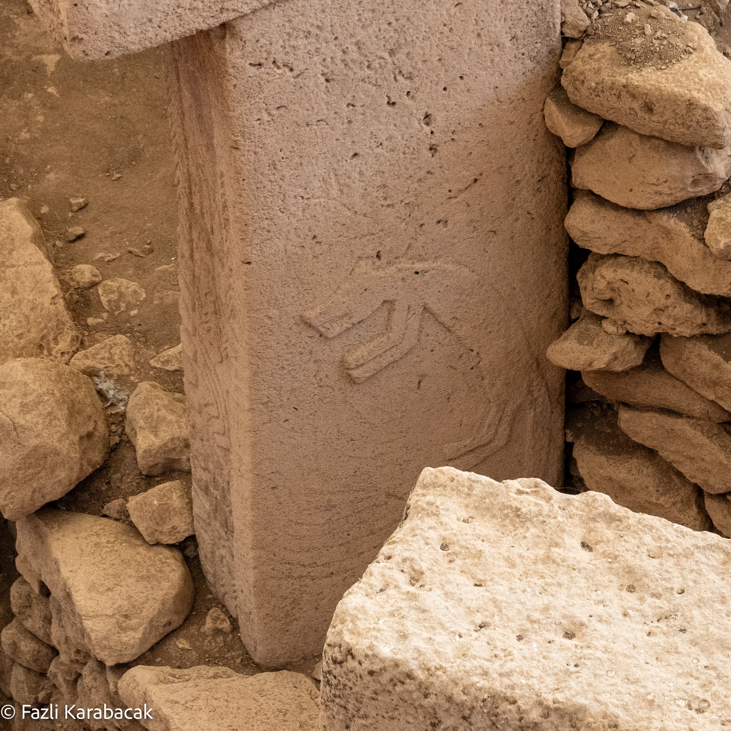Fox relief carving at Göbekli Tepe